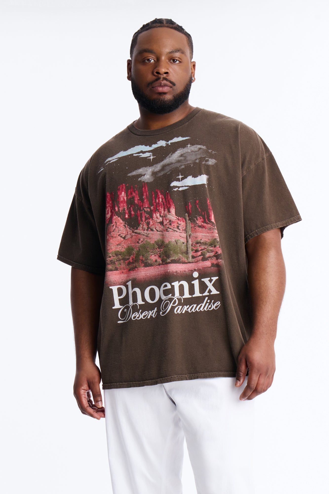 Phoenix Desert Paradise Oversized Short Sleeve Tee - Chocolate