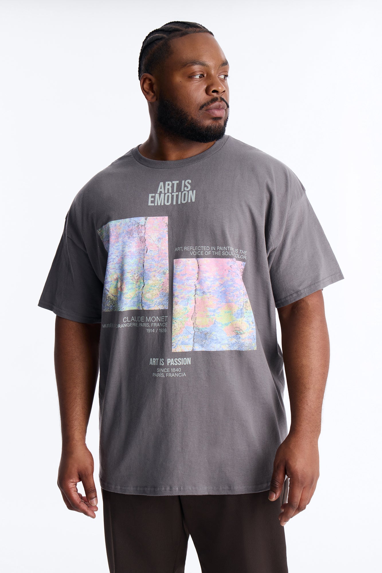 Monet Art Of Emotion Short Sleeve Tee - Charcoal