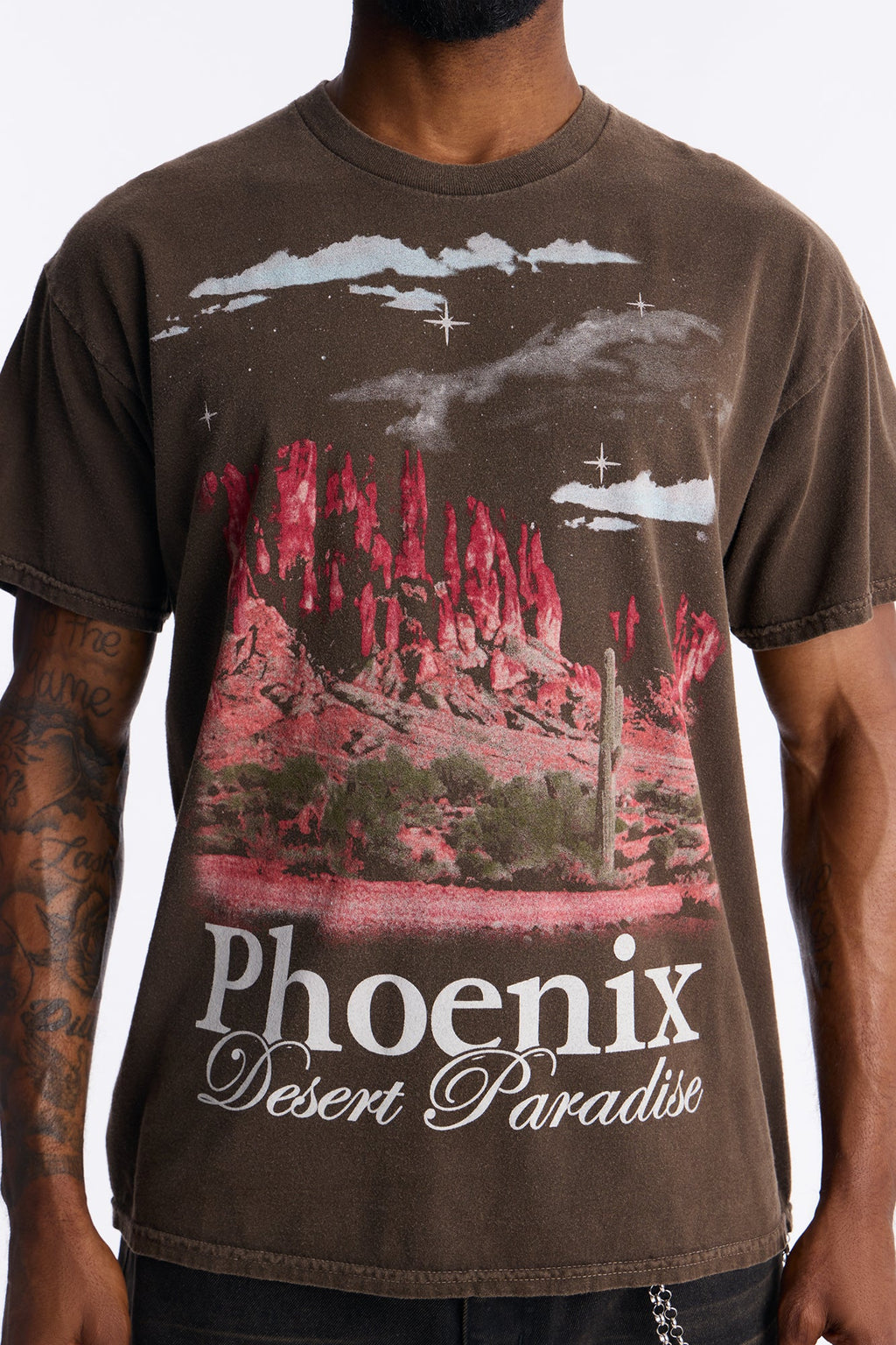 Phoenix Desert Paradise Oversized Short Sleeve Tee - Chocolate